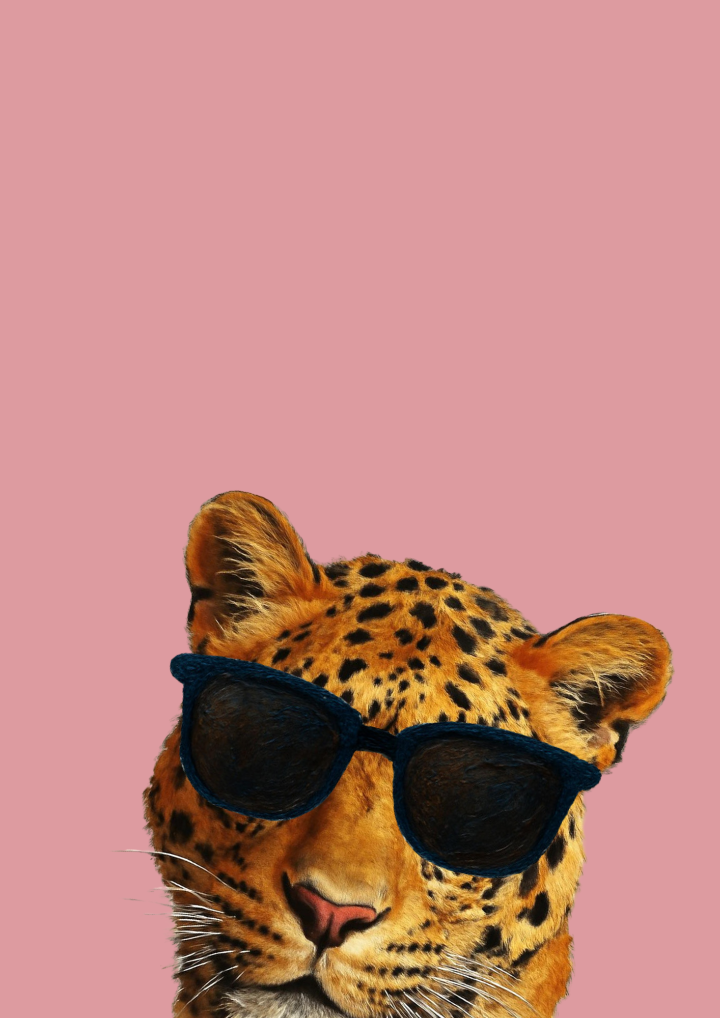 Cool Cat Leopard