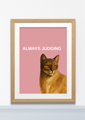 Always Judging Cat