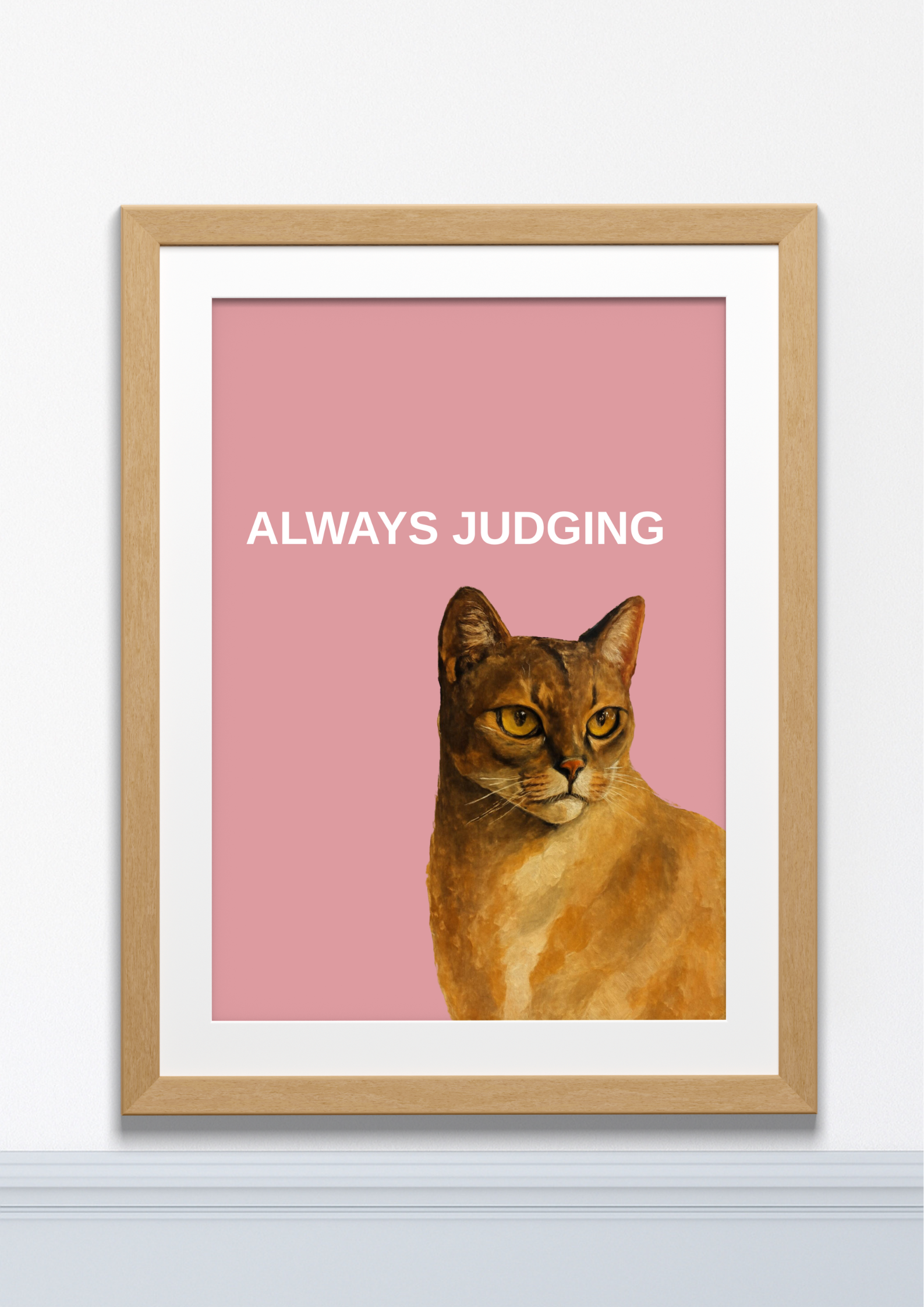 Always Judging Cat