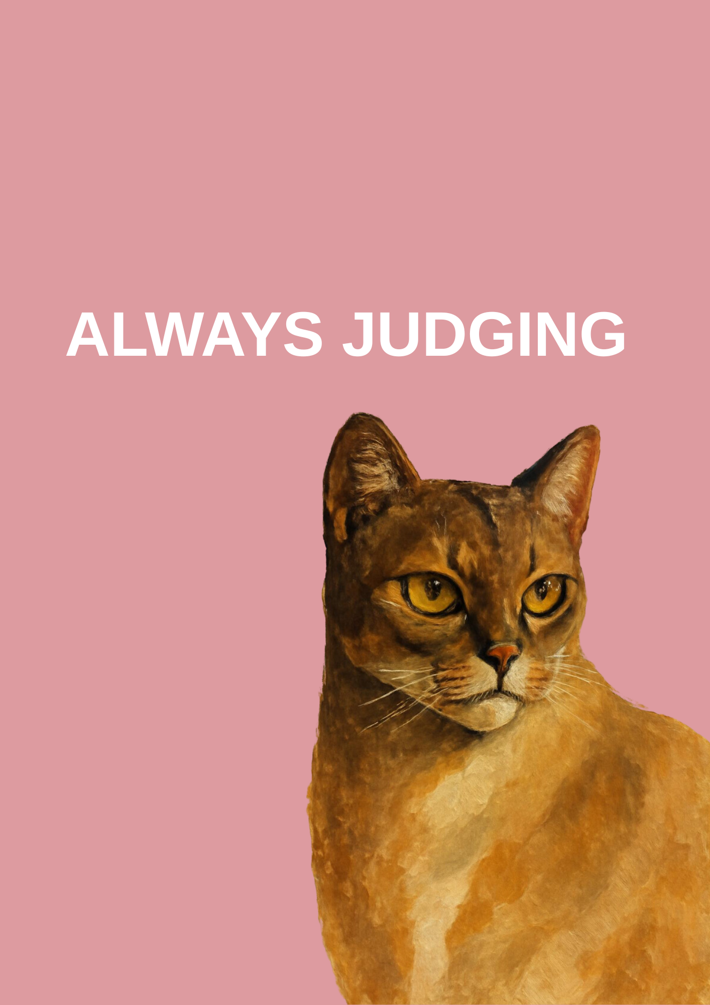 Always Judging Cat